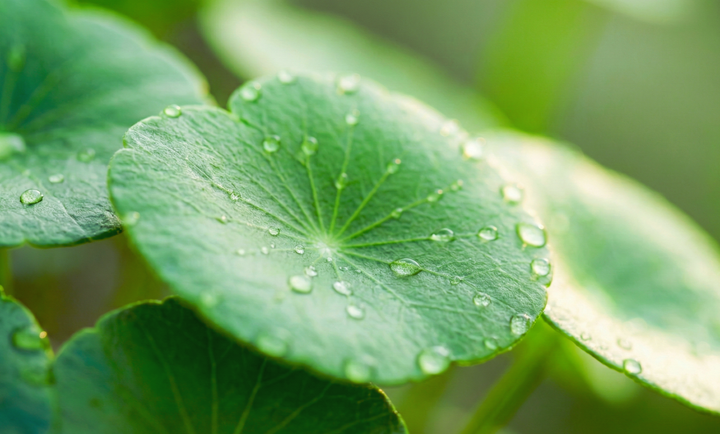 Why Internal Hydration Matters, and Where HydraHer Fits In